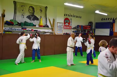 Renshinkaï Ju-jutsu