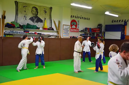 Renshinkaï Ju-jutsu