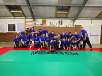 Krav Maga, Kickboxing,mma