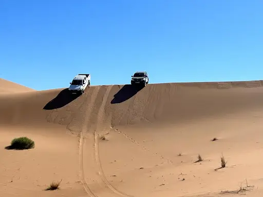 Speed Evasion Adventure