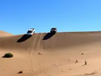Speed Evasion Adventure