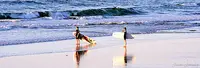 Bidassoa Surf Club