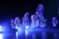 Studio Danse Passion Hyeres