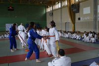 Ja Isle Bosmie Judo