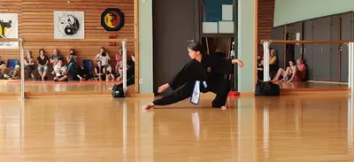 Kung Fu Thieùlâm