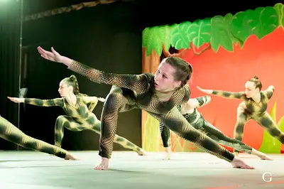 Ecole de Danse Variation