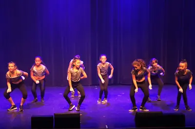 Mj Danse