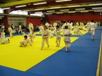 Judo Club la Flèche
