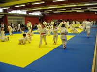 Judo Club la Flèche