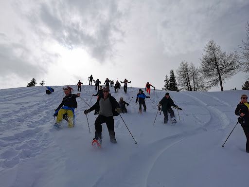 Gma Moniteur de Ski Accompagnateur Montagne