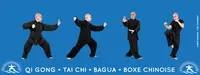 Association Tai Chi - Qi Gong - la Rochelle | Luoxuan Gong Fu