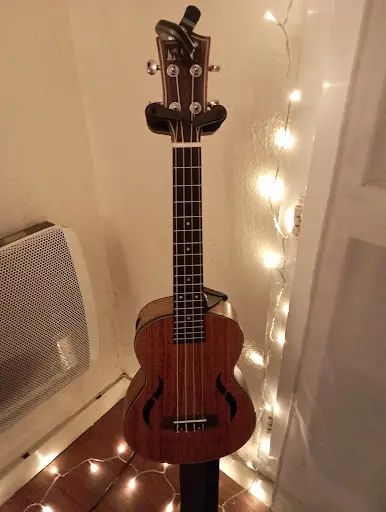 Cours Collectifs de Ukulélé & Guitare