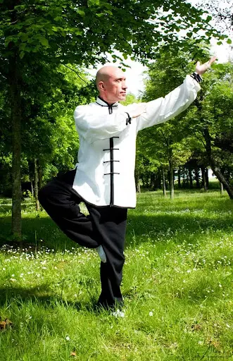 Tai Chi Chuan • Qi Gong • Self-défense | la Rochelle - Rochefort & Alentours | École du Mouvement Naturel