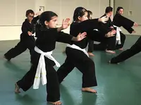 Viet Vo Dao la Rochelle (arts Martiaux Traditionnels Vietnamiens Style Thanh Long Truong Son)