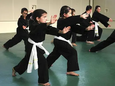 Viet Vo Dao la Rochelle (arts Martiaux Traditionnels Vietnamiens Style Thanh Long Truong Son)