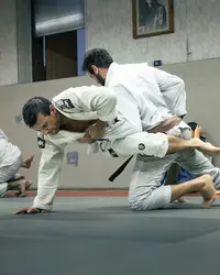 Akatsuteam Jjb