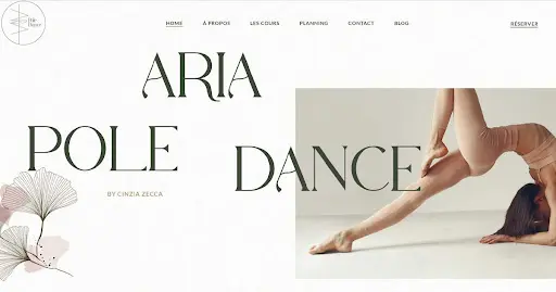 Aria Pole Dance