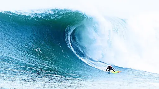 California Surf School