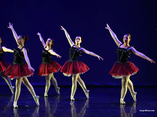 École de Danse Classique - Uaicd
