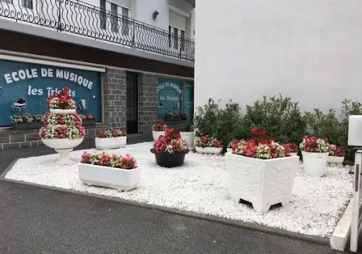 Les Triolets de Lannemezan - Nadine Rémy-mazeaud
