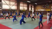 Asljl Vo-vietnam À Lardy (arts Martiaux Vietnamien)
