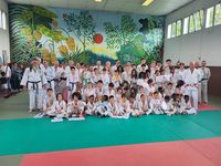 Judo Loisirs Laval Avesnières