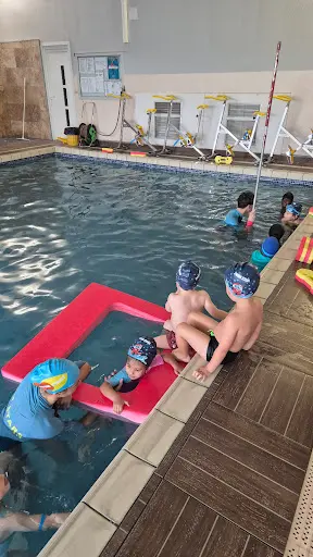Swim Stars | les Écus