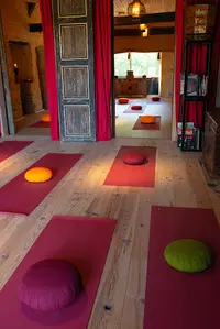 Phoenix et Dragon Qi Gong Taiji Quan