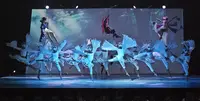 Strace Dance Center