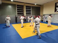 Nihon Tai Jitsu le Chesnay