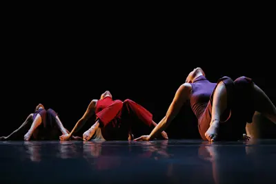 École de Danse "danse Iv"
