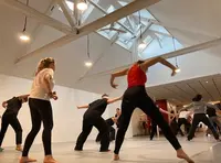 La Lice - École de Danse