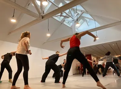 La Lice - École de Danse
