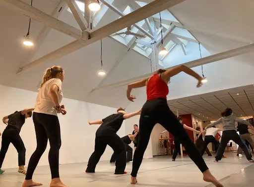 La Lice - École de Danse