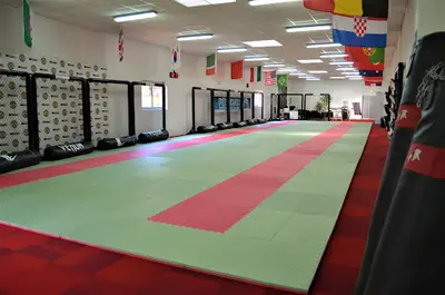 Dojo des Phoenix