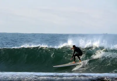 Salsifi Surf & Sup House