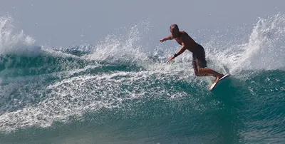Escs Ecole de Surf de la Cote Sauvage