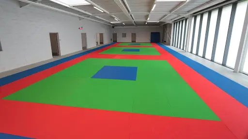 Aml81 Lescure (judo - Tai Chi Chuan - Aïkido)