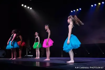 Academie Lfl- Danse, Musique, Chant, Technique, Spectacle