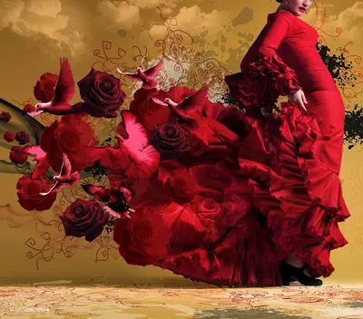Asi Se Baila Flamenco Limoges