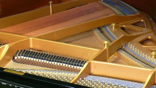 Ecole de Musique Antonio Rossetti
