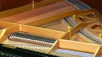 Ecole de Musique Antonio Rossetti