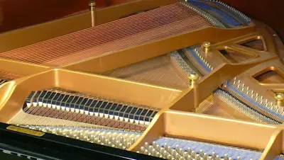 Ecole de Musique Antonio Rossetti
