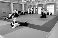Aïkido Lyon Confluence - Unsui Dojo