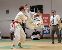 Club Lyon Karaté Kyokushinkai