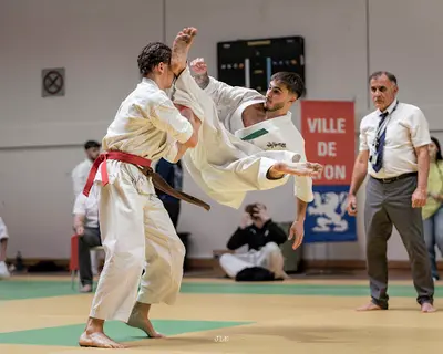 Club Lyon Karaté Kyokushinkai