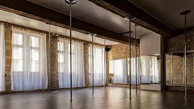 Spin Or Tricks (pole Dance Lyon)