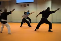 Ninjutsu - Bujinkan Ma-aï Dôjô