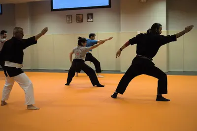 Ninjutsu - Bujinkan Ma-aï Dôjô