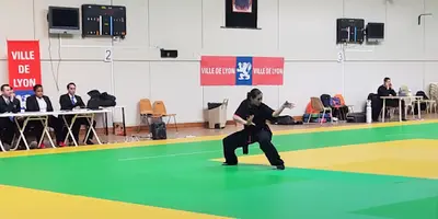 Hungsing Kung-fu Club Lyon